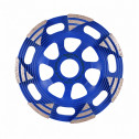 Schleiftopf DGS-W 125 Raptor, Distar №1