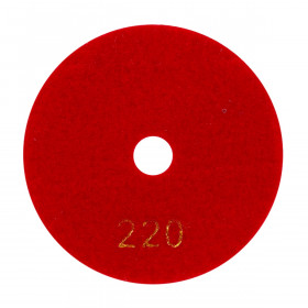 Diamant-Polierpads 100x3x15 №220 StandART, Distar №4