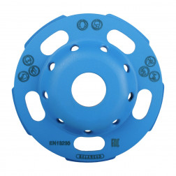 Schleiftopf DGS-W 100 Rotex